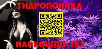 мдпв Шебекино