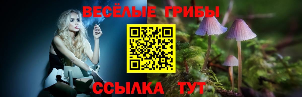 Менделеевск  Псилоцибиновые грибы мухоморы  Псилоцибиновые грибы Cubensis  Вход с VPN 